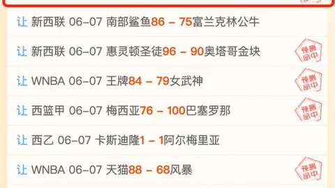 2026总决赛全面解析：关键赛事战绩